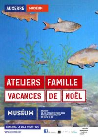 Ateliers De Noël Au Muséum D'AUXERRE. Du 19 au 21 décembre 2016 à AUXERRE. Yonne.  10H30